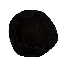 Carolina Pet Transformer Pet Bed