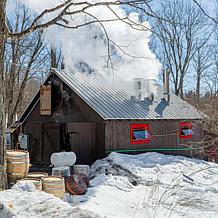 Cary & Main Vermont Estate Maple Syrup 2-pack - Auto-Ship®