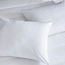 Clean Design Home 100% Cotton Allergen Barrier 300TC Std. Pillow 2pk