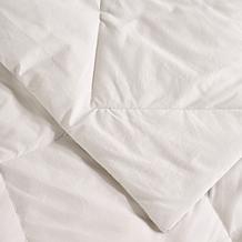Concierge Collection Nano Feather Cotton Face Blanket Twin