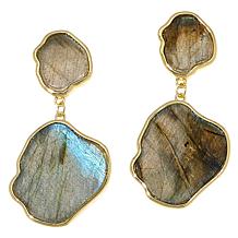 Connie Craig Carroll Jewelry Merritt Gemstone Drop Earrings