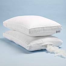Coop Sleep Goods Essence Queen Adjustable Pillow 2-Pack