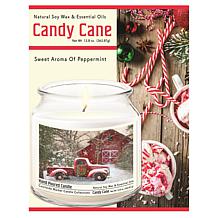 Courtside Market Barn Infused Wax Candle in  Glass Jar with Silver Lid