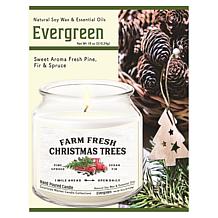 Courtside Market Fresh Farm Trees Wax Infused Candle with Glass Lid