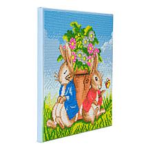 Craft Buddy Crystal Art Peter Rabbit Family and Flower Pot 2pk Canv...