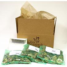 Crocus Large Flowering Blend Set of 75 Bulbs