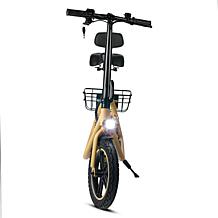 DeLorean 450W 36V Folding Seated E-Scooter w/Backrest & Accessories