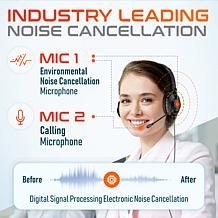 Delton 30Y Wired Computer Headset with Dual Noise Canceling Mics
