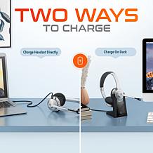 Delton 35X Wireless Computer Headset