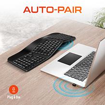 Delton KB200 Ergonomic 24G Wireless Keyboard for PC Laptop