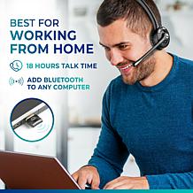 Delton Wireless Computer Headset with Microphone & USB Dongle
