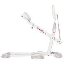 Denise Austin Squat Trainer Sculpting System