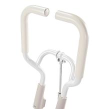 Denise Austin Squat Trainer Sculpting System
