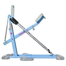 Denise Austin Squat Trainer Sculpting System with Resistance Bands