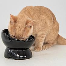 DexyPaws Elevated Ceramic Cat Bowl - Black, 7oz