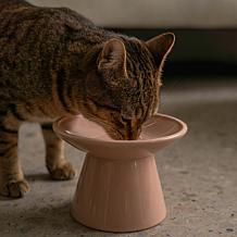 DexyPaws Flat Top Ceramic Cat Bowl - Blush Pink