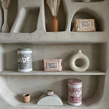 DexyPaws Oatmeal & Vitamin E Cleansing Wipes 200ct Canister