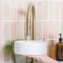 DexyPaws White Ceramic Dog Bowl 50oz