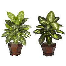 Dieffenbachia with Wood Vase Silk Plant Set of 2