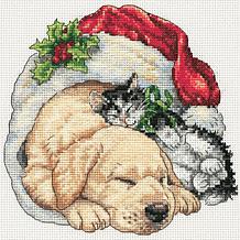 Dimensions/Gold Collection Counted Cross Stitch Kit 16X12