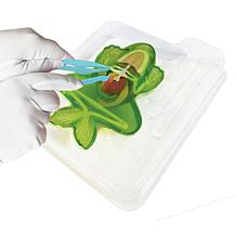 Dissect It Frog Lab Synthetic Dissection Kit