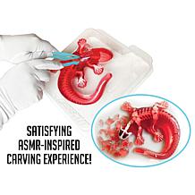 Dissect It Salamander Lab Synthetic Dissection Kit