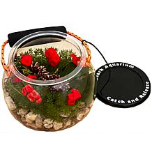 Drybranch Sports Design Catch and Release Beach Aquarium