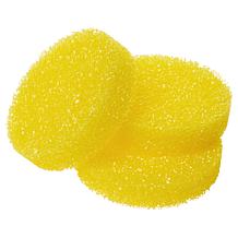 Earth Brite All-Purpose 600gm (21oz.) Cleaning Kit