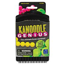 Educational Insights Kanoodle Genius Strategy Game