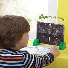 Educational Insights Sprout and Grow Window