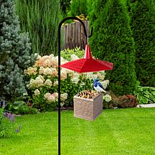 Eternity Bird Feeder with 360 View and Squirrel-Resistant Design