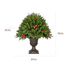 Fraser Hill Farm 2.5-Ft. Joyful Porch Tree in Pedestal Urn with Pin...