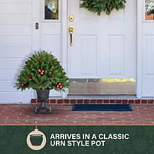 Fraser Hill Farm 2.5-Ft. Joyful Porch Tree in Pedestal Urn with Pin...