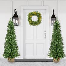 Fraser Hill Farm 4-Ft. Boxwood Porch Tree in Burlap Bag