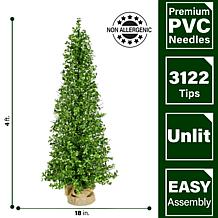 Fraser Hill Farm 4-Ft. Boxwood Porch Tree in Burlap Bag