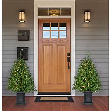 Fraser Hill Farm 4 ft. Boxwood Porch Tree Set with Warm White Lights