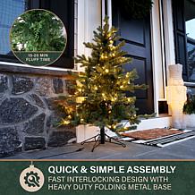Fraser Hill Farm 4-Ft. Foxtail Pine Pre-Lit Artificial Christmas Tr...