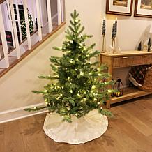 Fraser Hill Farm 4-Ft. Foxtail Pine Pre-Lit Artificial Christmas Tr...