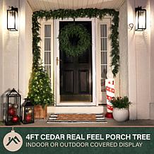 Fraser Hill Farm 4-Ft. Real Feel Cedar Pre-Lit Potted Porch Tree wi...