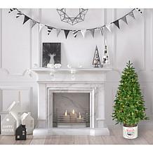 Fraser Hill Farm 4.5Ft. Porch Tree in Reindeer Pot w/ White LED Lights