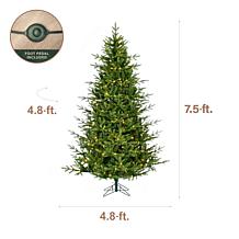 Fraser Hill Farm 7.5-Ft. Foxtail Pine Pre-Lit Artificial Christmas ...