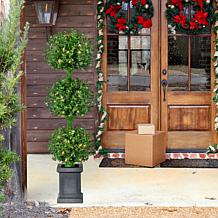 Fraser Hill Farm All Season 4-Ft. Boxwood 3-Ball Topiary with Black...