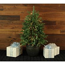 Fraser Hill Farms 4' Potted Pine Tree with Clear Lights
