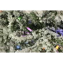 Fraser Hill Farms 9' Flocked Mountain Pine Tree - Multicolor