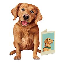 Freshcut Paper Set of 3 Pop-Up Pet Greeting Cards w/Accessories