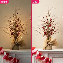Glitzhome 18in H Lighted Valentine's Berry Heart Table Tree