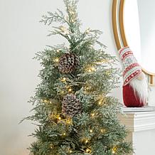 Glitzhome 2pk 5 Ft. Pre-Lit Artificial Pine Christmas Porch Tree