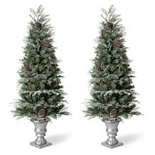 Glitzhome 2pk 5 Ft. Pre-Lit Artificial Pine Christmas Porch Tree