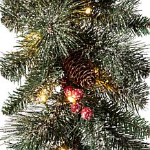Glitzhome 9' Glittered Pine Cone Christmas Garland w/White LED Lights