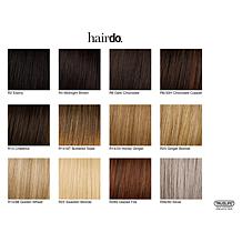 Hairdo Hairpieces  Style-A-Do & Mini-Do Set